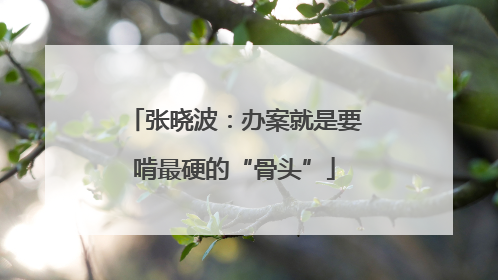 张晓波：办案就是要啃最硬的“骨头”