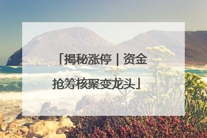 揭秘涨停｜资金抢筹核聚变龙头