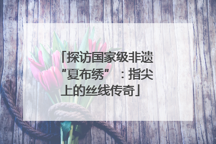 探访国家级非遗“夏布绣”：指尖上的丝线传奇
