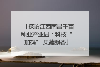 探访江西南昌千亩种业产业园：科技“加码” 果蔬飘香