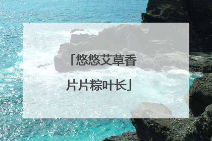 悠悠艾草香 片片粽叶长