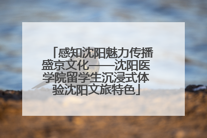 感知沈阳魅力传播盛京文化——沈阳医学院留学生沉浸式体验沈阳文旅特色