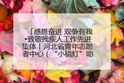 感恩奋进 双争有我•致敬残疾人工作先进集体丨河北省青年志愿者中心（“小橘灯”助残接力计划实施团队）：用温暖陪伴，守护特殊孩子成长