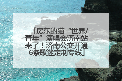 房东的猫“世界/青年”演唱会济南站来了！济南公交开通6条歌迷定制专线