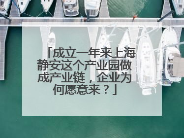 成立一年来上海静安这个产业园做成产业链，企业为何愿意来？