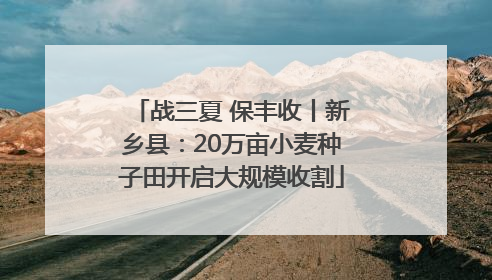 战三夏 保丰收丨新乡县：20万亩小麦种子田开启大规模收割