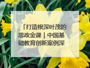 打造根深叶茂的思政金课｜中国基础教育创新案例深度观察③