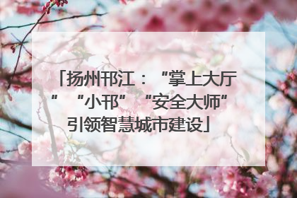 扬州邗江：“掌上大厅”“小邗”“安全大师”引领智慧城市建设
