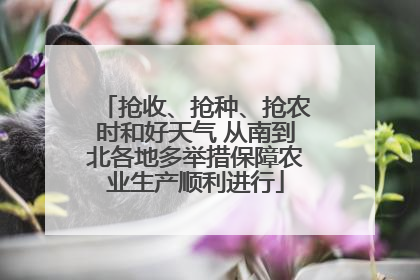 抢收、抢种、抢农时和好天气 从南到北各地多举措保障农业生产顺利进行