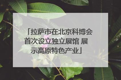 拉萨市在北京科博会首次设立独立展馆 展示高原特色产业