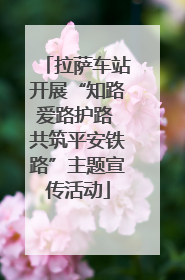 拉萨车站开展“知路爱路护路 共筑平安铁路”主题宣传活动