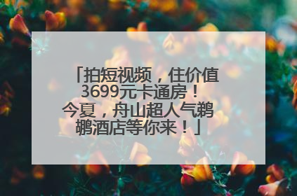 拍短视频，住价值3699元卡通房！今夏，舟山超人气鹈鹕酒店等你来！