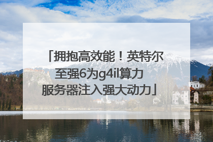拥抱高效能！英特尔至强6为g4il算力服务器注入强大动力
