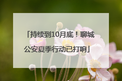 持续到10月底！聊城公安夏季行动已打响