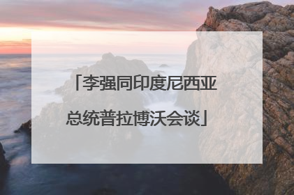 李强同印度尼西亚总统普拉博沃会谈