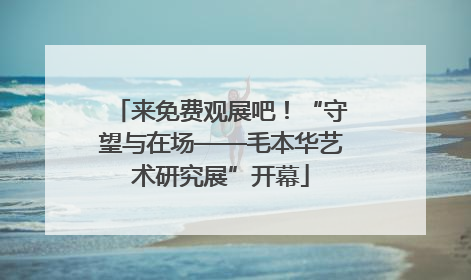 来免费观展吧！“守望与在场——毛本华艺术研究展”开幕