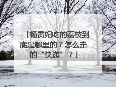 杨贵妃吃的荔枝到底是哪里的？怎么走的“快递”？