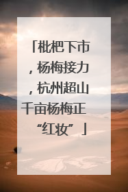 枇杷下市，杨梅接力，杭州超山千亩杨梅正“红妆”