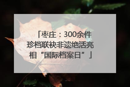 枣庄：300余件珍档联袂非遗绝活亮相“国际档案日”