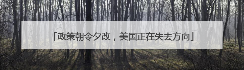 政策朝令夕改，美国正在失去方向