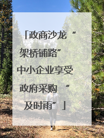 政商沙龙“架桥铺路” 中小企业享受政府采购 “及时雨”