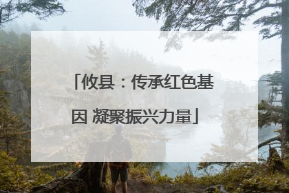 攸县：传承红色基因 凝聚振兴力量