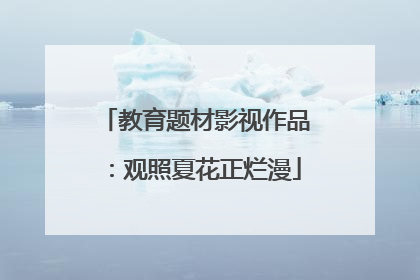 教育题材影视作品：观照夏花正烂漫