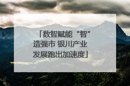 数智赋能“智”造强市 银川产业发展跑出加速度