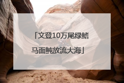 文登10万尾绿鳍马面鲀放流大海