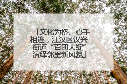 文化为桥、心手相连，江汉区汉兴街道“百团大绽”演绎邻里新风貌