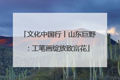 文化中国行丨山东巨野：工笔画绽放致富花
