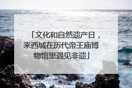 文化和自然遗产日，来西城在历代帝王庙博物馆里遇见非遗