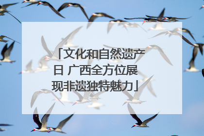 文化和自然遗产日 广西全方位展现非遗独特魅力