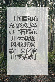 新疆和布克赛尔县举办“石榴花开·云骥逐风·牧野欢歌”文化演出季活动