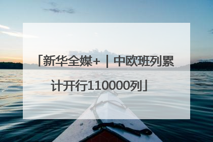 新华全媒+｜中欧班列累计开行110000列