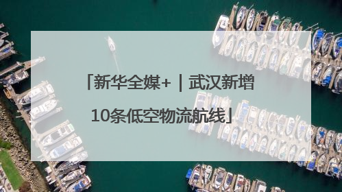 新华全媒+｜武汉新增10条低空物流航线