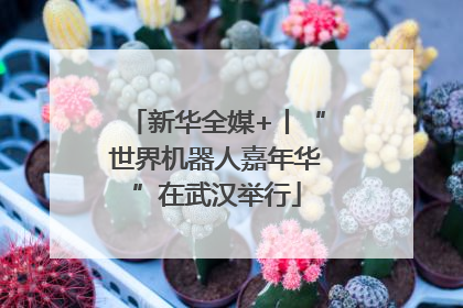 新华全媒+丨“世界机器人嘉年华”在武汉举行