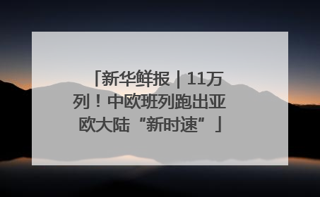 新华鲜报|11万列!中欧班列跑出亚欧大陆“新时速”