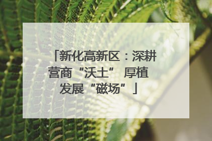 新化高新区：深耕营商“沃土” 厚植发展“磁场”