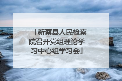 新蔡县人民检察院召开党组理论学习中心组学习会