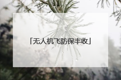 无人机飞防保丰收