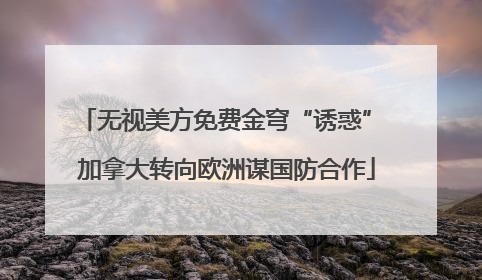 无视美方免费金穹“诱惑” 加拿大转向欧洲谋国防合作