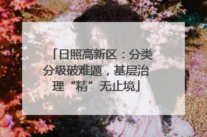 日照高新区：分类分级破难题，基层治理“精”无止境