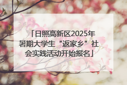 日照高新区2025年暑期大学生“返家乡”社会实践活动开始报名