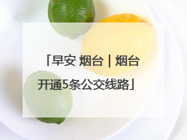 早安 烟台｜烟台开通5条公交线路