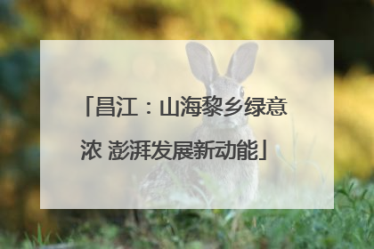 昌江：山海黎乡绿意浓 澎湃发展新动能