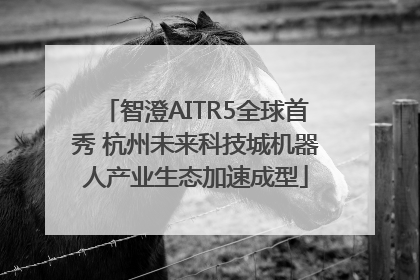 智澄AITR5全球首秀 杭州未来科技城机器人产业生态加速成型