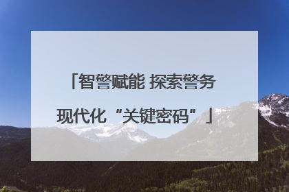 智警赋能 探索警务现代化“关键密码”