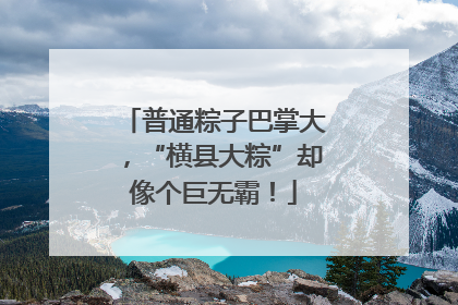 普通粽子巴掌大，“横县大粽”却像个巨无霸！