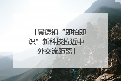 景德镇“即拍即识”新科技拉近中外交流距离